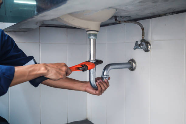 Best Affordable Plumber Near Me  in Robins, IA